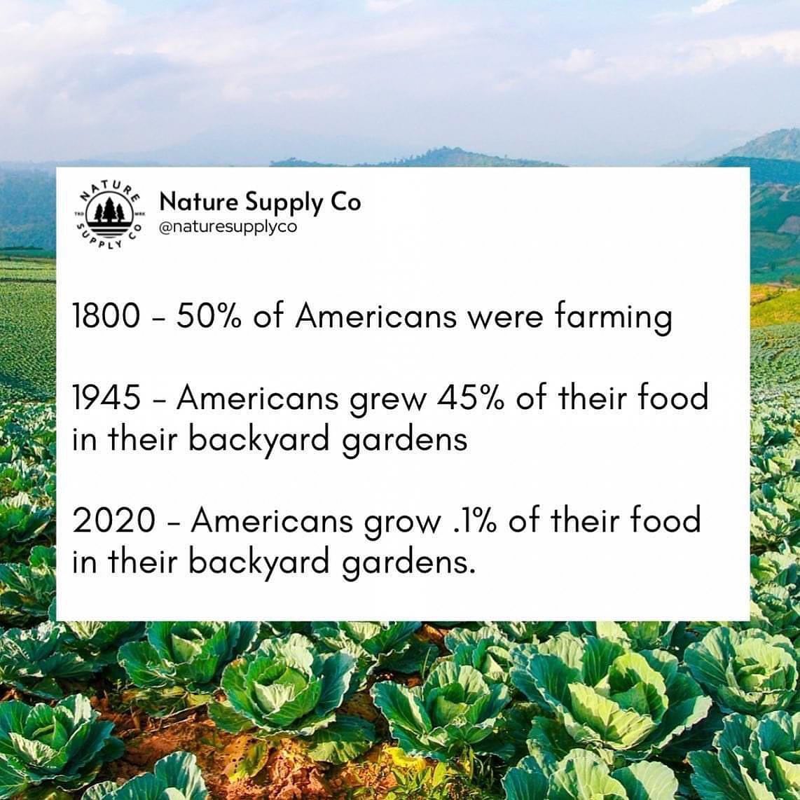 This meme is a humorous take on the changing nature of food production and consumption in the United States. It presents a series of increasingly absurd and humorous statements about the history of American food habits, starting with a 19th-century scenario where 50% of Americans were farmers, followed by a 1945 scenario where Americans were growing 45% of their food in their backyards, and finally a 2020 scenario where Americans were growing 0.1% of their food in their backyards. The text is presented in a playful, tongue-in-ear  style, with the company's name and a  @naturesupplyco  handle. The text is presented in a playful, tongue-in-ear  style, with the company's name and a  @naturesupplyco  handle.